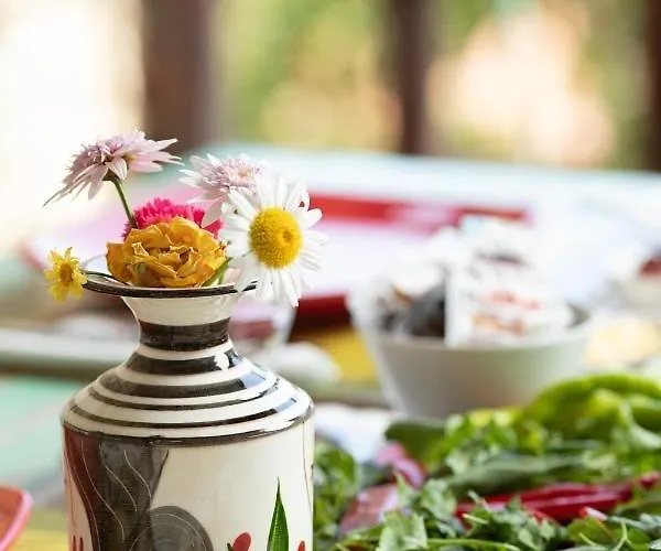 Moncheri Butik Ayvacik (Canakkale)